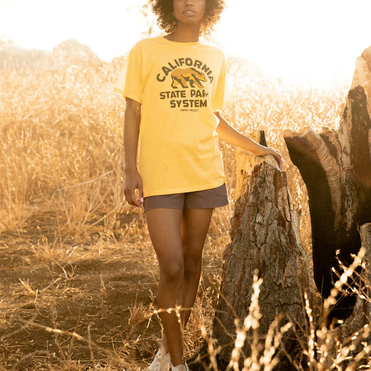 California State Park System Vintage Bear Logo Tee - Onhollan